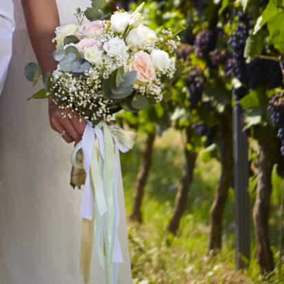 Ihr Hochzeitsfotograf wird die Weinberge lieben